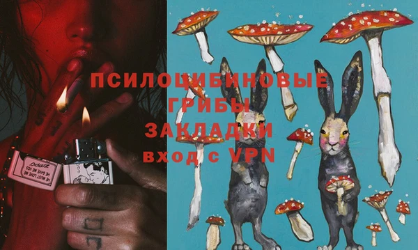 мдпв Богданович